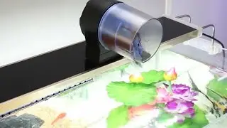 Automatic feeding machine