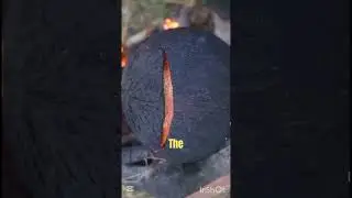 WHY THEY ARE BURNING COCONUT FRUIT??