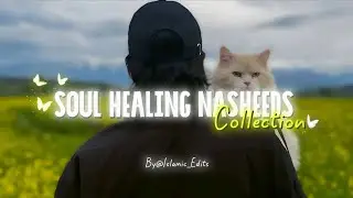Soul Healing Nasheed Collection🎵🦋 | Popular Ever Peaceful Nasheed Collection🤍🎧 | Islamic Edits