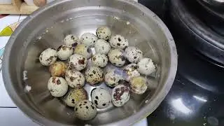How to use new manual quail egg peeling machine？