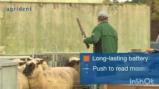 Agrident AWR 300 Stick Reader