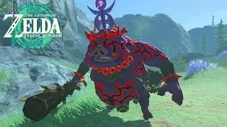 NEW! Boss Boko Tyrant | TotK Challenge Mode