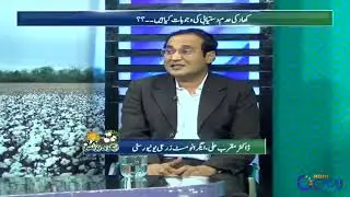 What Are The Main Reasons Non-availability Of Fertilizer ? | Agri Business | 18 Dec 2021 | Rohi