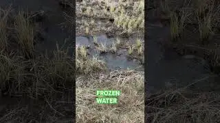 Ohhh its Freezing morning | morning walk #discoveryjapan #frozenwater #freezing #short  #shortvideo