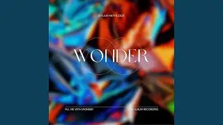 Fill Me With Wonder (Live)