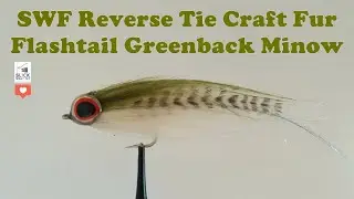 SWF CF Flashtail Greenback Minow