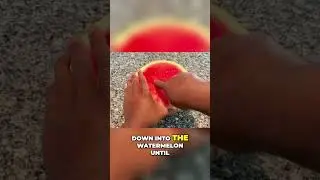 Top Watermelon Slicer for Perfect Cubes