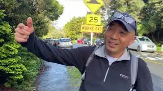Titirangi Village Market