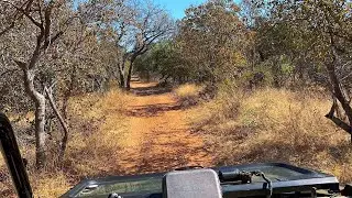 2 500 Hectares Ellisras Steenbokpan Game Farm For Sale
