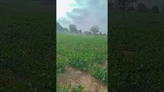 #farming #farmvillage #farmingsecrets
