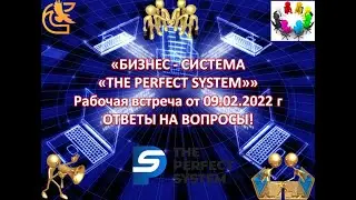 БИЗНЕС &ndash; СИСТЕМА &laquo;THE PERFECT SYSTEM&raquo; Рабочая встреча от 09.02.2022 г.