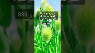 833 number hadees Mubaraka from shai albukhari hadees book #ahadees #like#share #islamic quote#azan