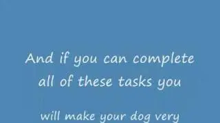 How to look after your dog.