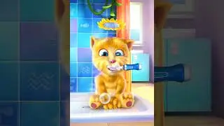 Talking Ginger app 