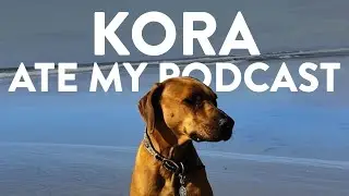 Being Beyonce with Kora the Rhodesian Ridgeback