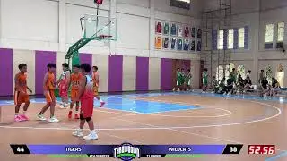 TIGERS VS WILDCATS (12 UNDER)