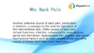 Physiotherapy for Back Pain in Perth | Back Pain Clinic | Leederville & North Perth