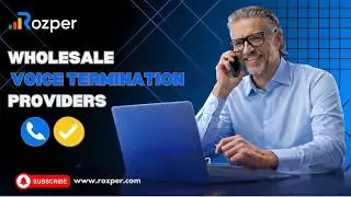 Wholesale Voice Termination Providers:Navigating the World of Wholesale Voice Termination Provider.