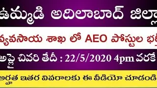 AEO jobs in adilabad district 2020 || Agriculture extension officers jobs in adilabad || AEO jobs