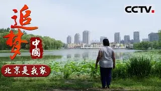 《追梦中国》“北漂”的幸福在哪里？卓越的事业还是美满的家庭？【CCTV纪录】