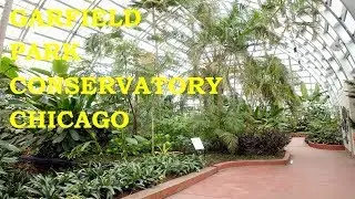 Visit to GARFIELD PARK CONSERVATORY CHICAGO - Travel VLogs by Travel Guide