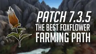 The Best Foxflower Farming Path Patch 7.3.5