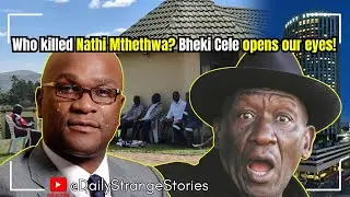 Who killed Nathi Mthethwa? French government bans SAPS investigators