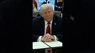 Winners and Losers in Trump's Auto Tariffs