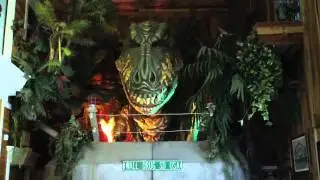 wall drug t rex