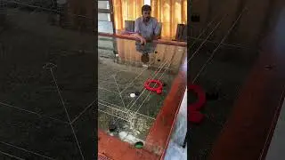Dancing Coin 💃 + Queen Pot 👑 Covered in Style 😱 | Epic Cut Press Finish 🔥 (Unbelievable Carrom)