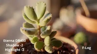 Fujifilm X-T3 F-Log vs Eterna Dynamic Range Test in 4k