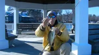 Winter Bass On Hair Jigs.