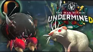 Patch 11.1's Hunter Pets are CRAZY! Check them out NOW!