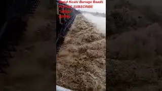 Nepal Koshi Barrage Baadh _ 