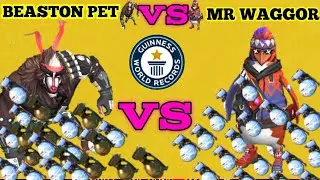 BEASTON PET  VS MR  WAGGOR PET FULL COMPITITION | UNLIMITED GLOO WALL | ABILITY ?