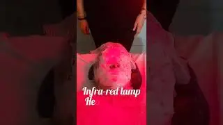 Heat therapy for mature face & body #agingskin #heatherapy #therapy #skin #glowingskin #skincaretips