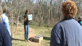Flying WILD - Avian Antics - Bird Exercises (short version).wmv