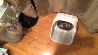 Sureflap Surefeed Microchip Feeder with my cats