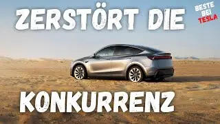 Tesla dominiert US-Elektroauto-Markt: Konkurrenz bleibt auf der Strecke &ndash; 59 % Marktanteil im Q4!