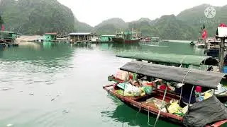 Road to Catba bay #blueswimmersailing