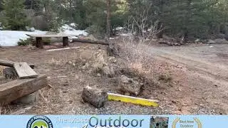Campsites at the Park!