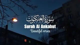 Surah Al Ankabut ﴾سورت العنکبوت﴿ | Beautiful verses 