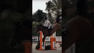 The tail flick every time KILLS ME 🤩❤️&zwj;🔥 #shortsfeed #horses