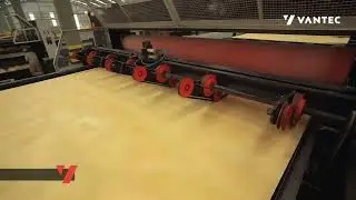 Vantec Rotary Veneer Clipper for Sale by CMS