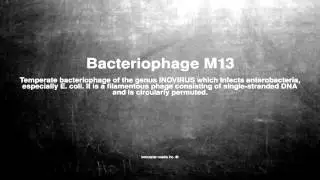 Medical vocabulary: What does Bacteriophage M13 mean