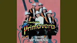 Los 5 De La Brigada