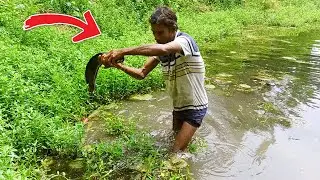 New fishing 2021 unique catching || Hand fish catching video || #fishingo