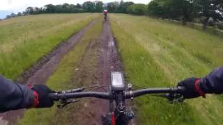 Lennox Forest with Angus 5th August 2017