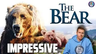 THE BEAR - Movie Review | BrandoCritic