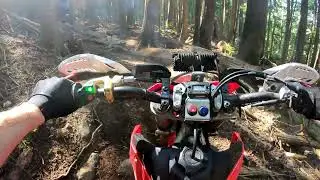 Mcnutt - BC Rock Garden & Buddy's